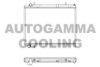 CITRO 133388 Radiator, engine cooling